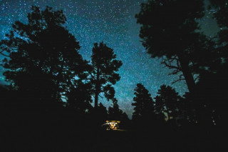 La Vie Brille sous les Étoiles
