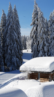 Les Chalets de Gève