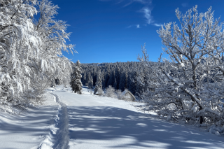 L’hiver en douceur au coeur du Vercors – Randonnée et SPA nordique_Autrans-Méaudre en Vercors L’hiver en douceur au coeur du Vercors – Randonnée et SPA nordique_Autrans-Méaudre en Vercors