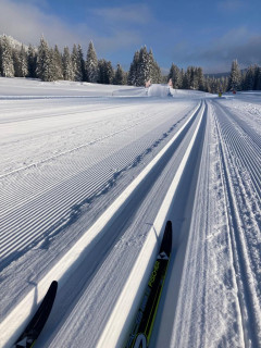 ski_classique.jpg