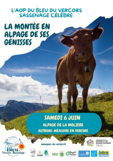 montée en alpages du vercors