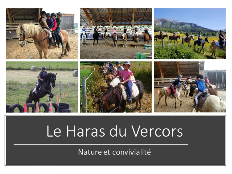stages_haras.jpg