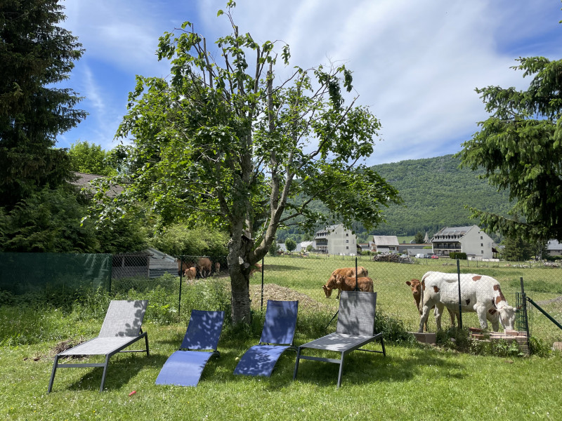 Jardin avec transats
