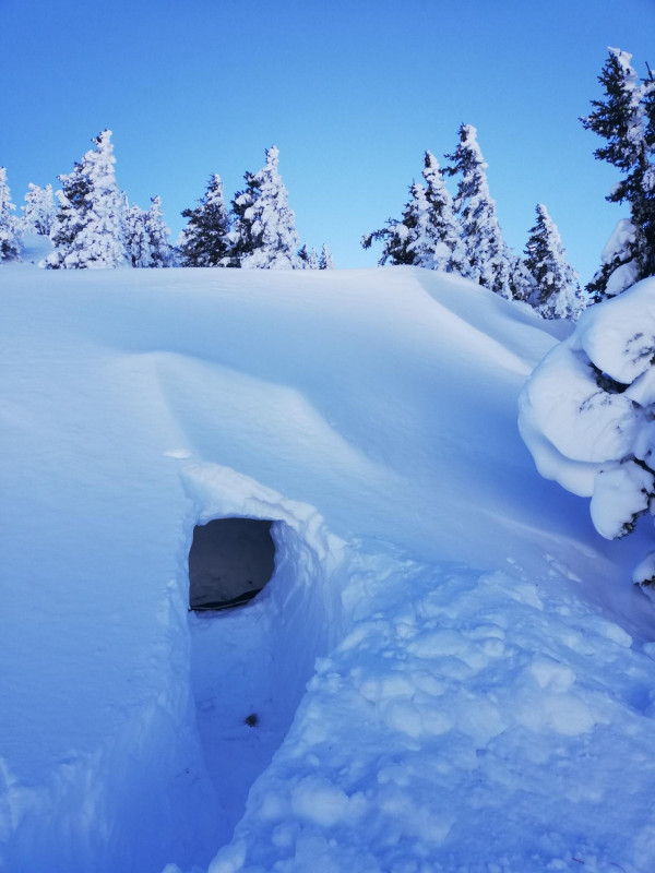 Bivouac Insolite