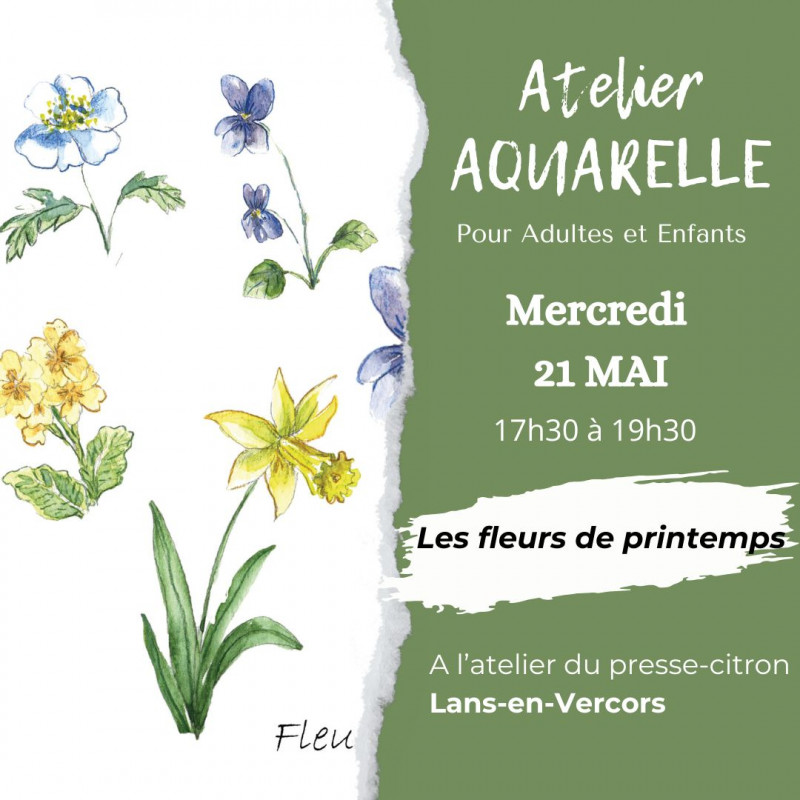 Atelier Dessiner Les fleurs de printemps avec Alexandra Jacquin