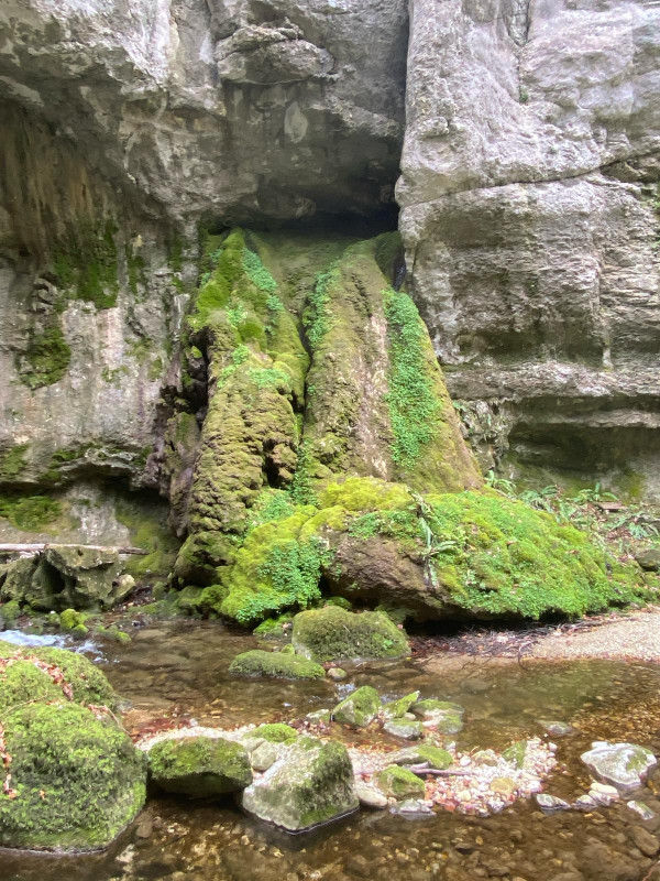 Tufière dans le canyon du Furon