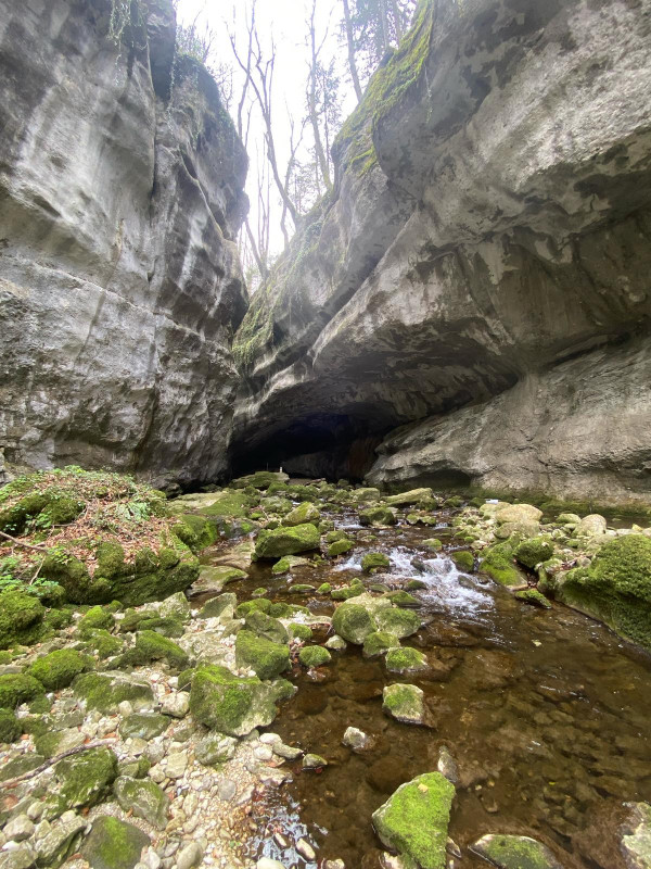 Rives encaissées du canyon du Furon