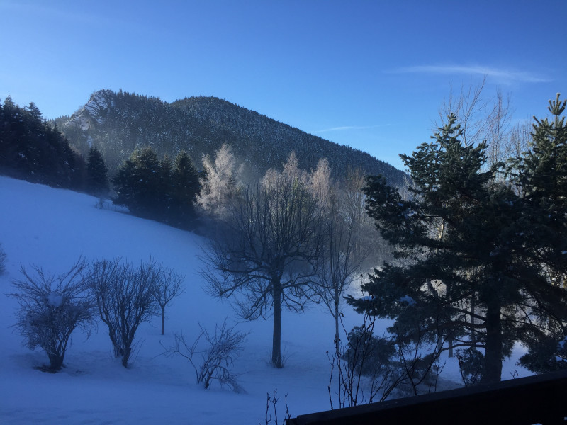 Vue sur montagne enneigée