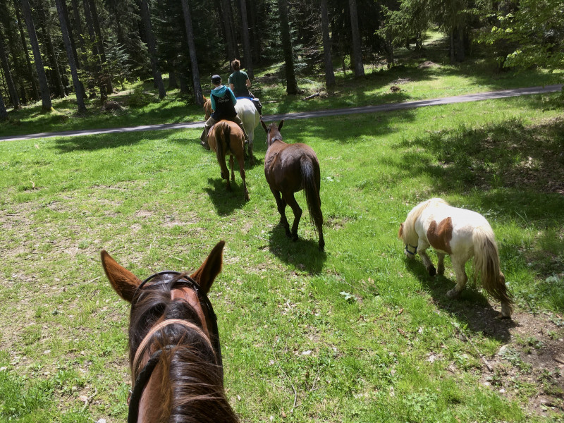 Randonnée à cheval