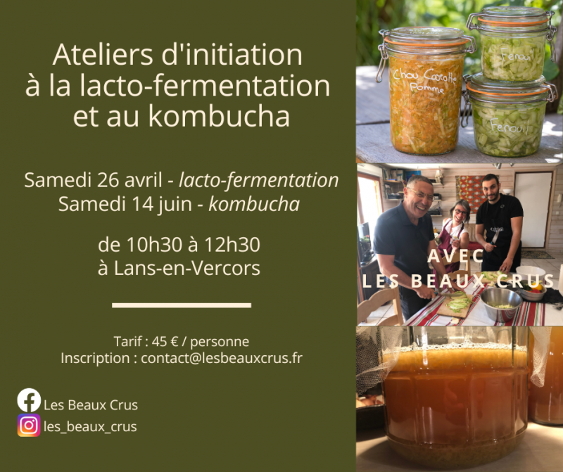 Initiation au kombucha_Lans-en-Vercors