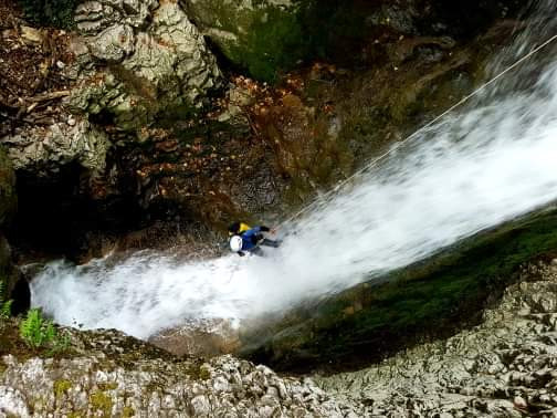 photo_furon_bas_2.jpeg photo_furon_bas_2.jpeg