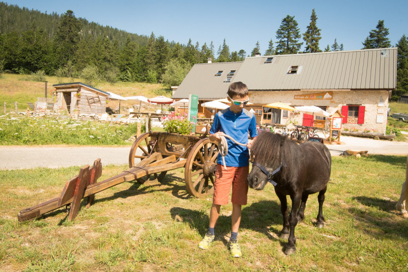 Balade à poney