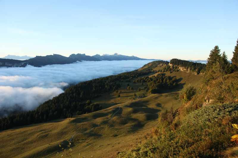 Les jeudis de la Molière_Autrans-Méaudre en Vercors