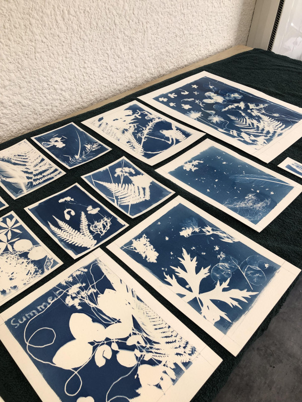 Cyanotype