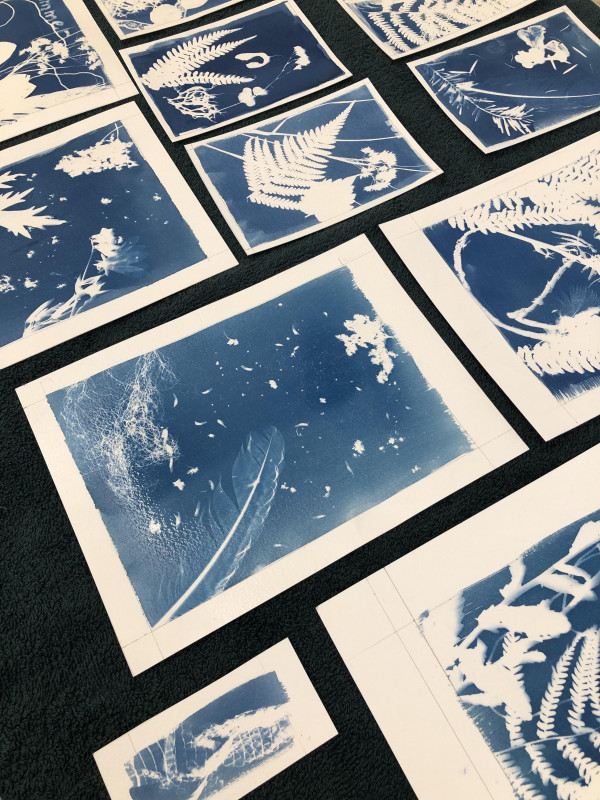 Cyanotype