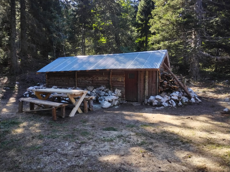cabane_44.jpg