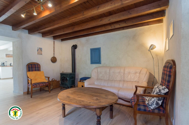 Salon avec poêle à bois