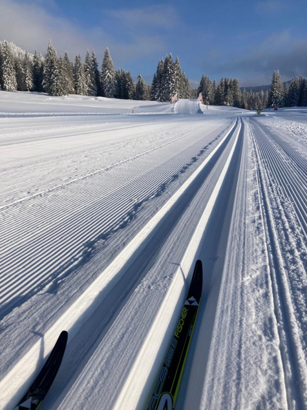 ski_classique.jpg - © Anne Laure Mignerey ski_classique.jpg