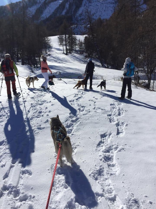 86874636_200073934709844_6540260045253246976_n.jpg 86874636_200073934709844_6540260045253246976_n.jpg