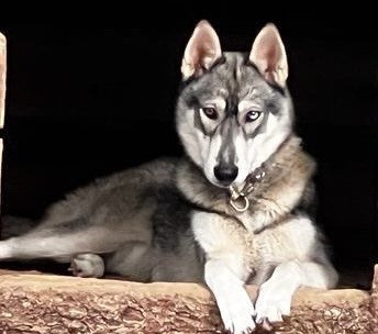 448633971_486335780636434_4007781339726417155_n.jpg 448633971_486335780636434_4007781339726417155_n.jpg