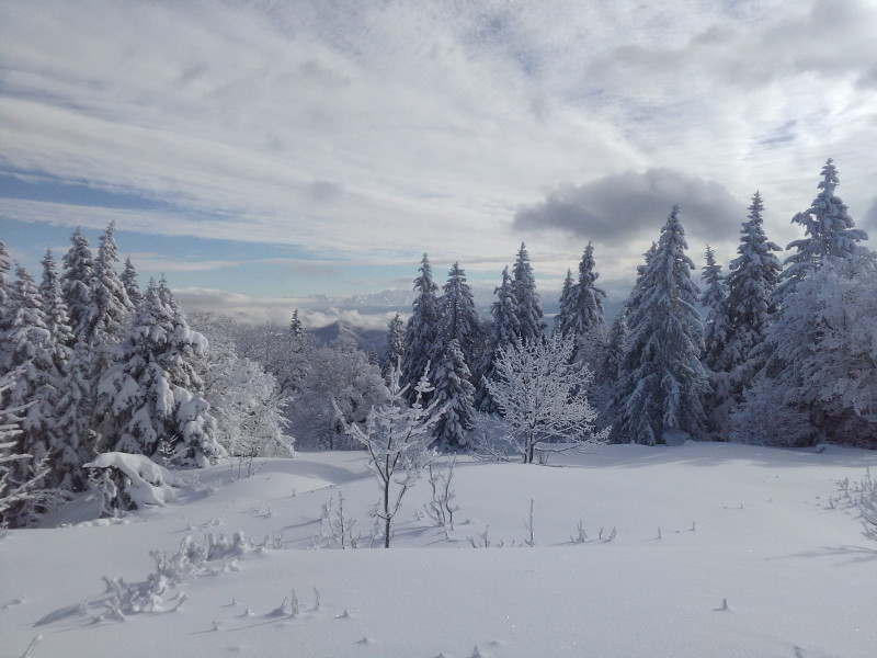 17240077_10212052957540254_8895995261364992682_o.jpg 17240077_10212052957540254_8895995261364992682_o.jpg