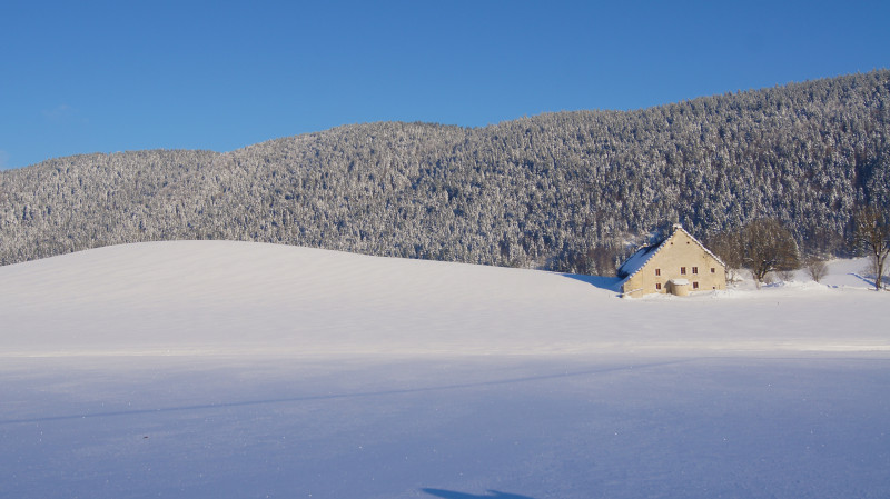 b_brancato_2013_7.jpg - © B.Brancato b_brancato_2013_7.jpg