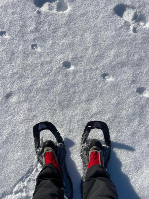 Chausser les raquettes à 100m