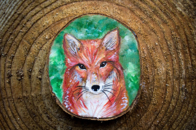 tyrannousaurusrex170600012.jpg tyrannousaurusrex170600012.jpg