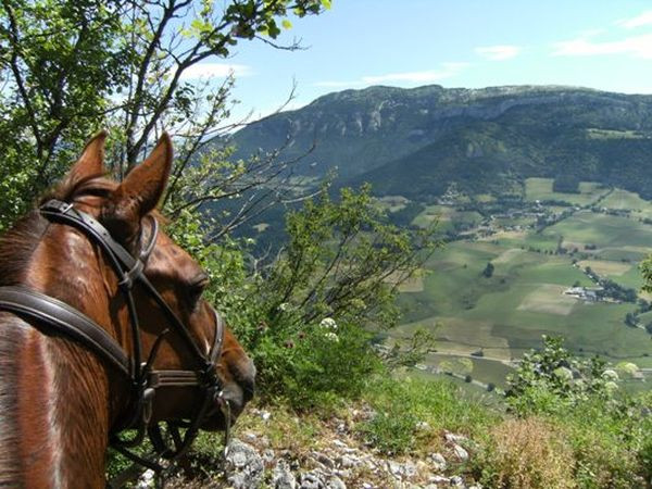 Balade à cheval avec vue sur le plateau du Vercors Balade à cheval avec vue sur le plateau du Vercors
