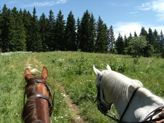 Balade à cheval Balade à cheval