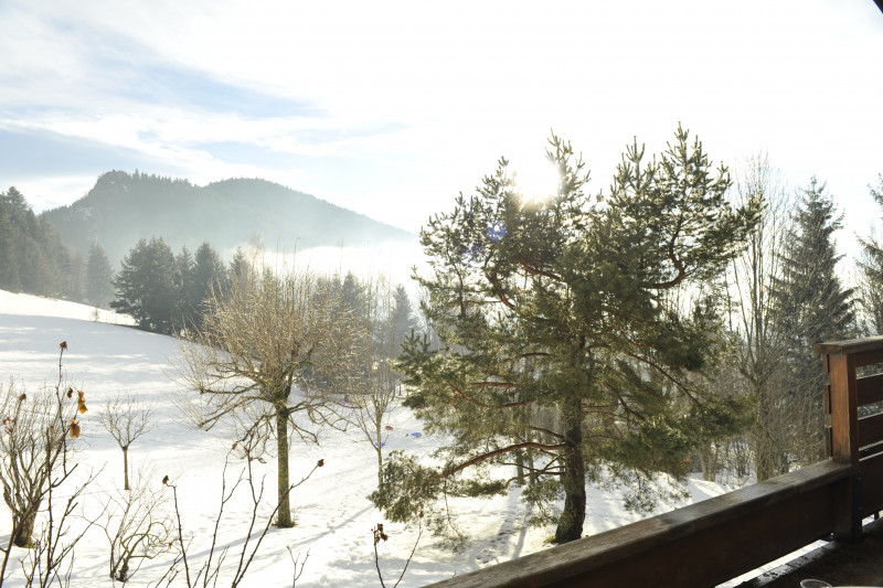 Vue sur terrain enneigé