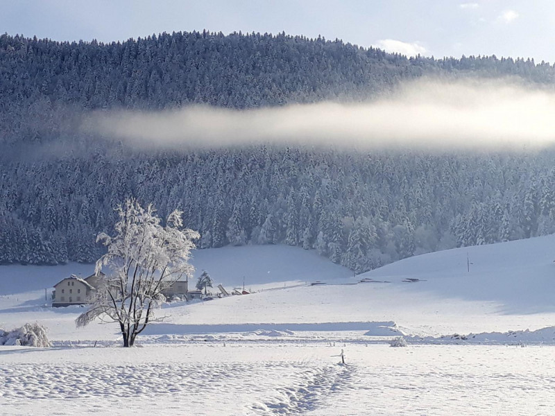Environnement du gîte un matin d'hiver