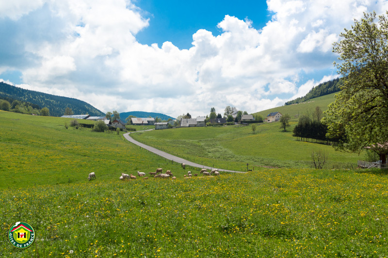 Vue du gîte sur les prés de l'exploitation Vue du gîte sur les prés de l'exploitation