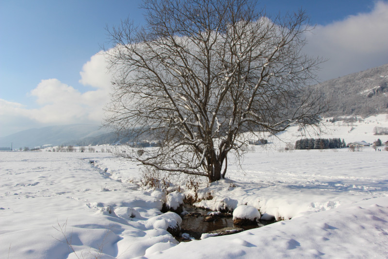 Vue paysagère enneigée - © Vanessa Triboulat Vue paysagère enneigée
