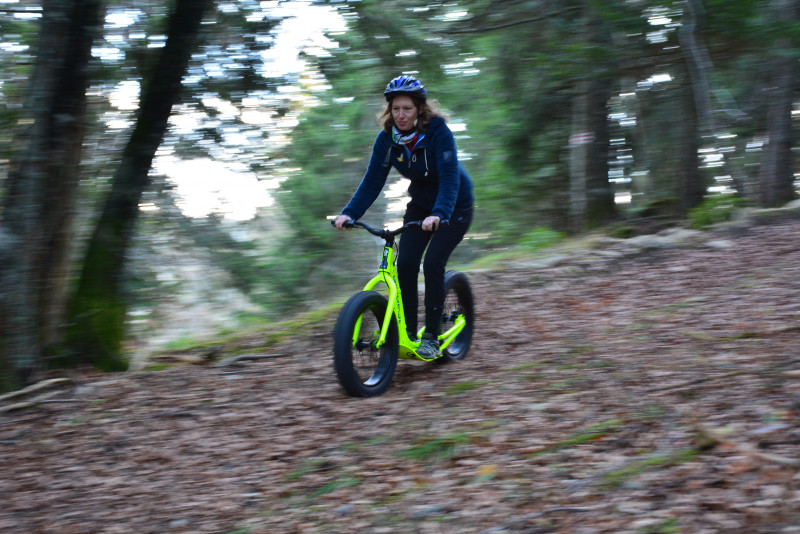 noelle_en_fat.jpg noelle_en_fat.jpg