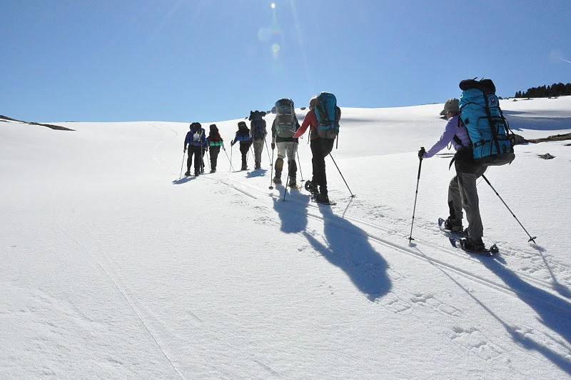 jpg_01.jpg jpg_01.jpg