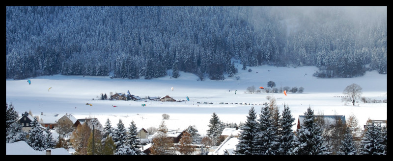 dsc_0197.jpg dsc_0197.jpg