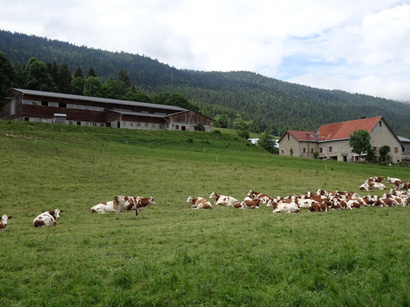 photo_gite_ferme.jpg photo_gite_ferme.jpg