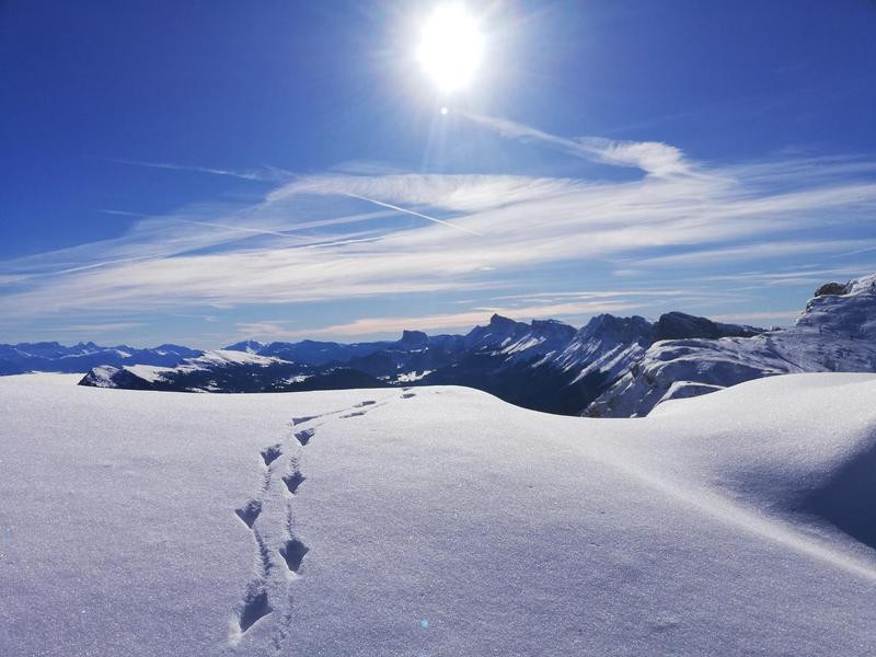 Vue panoramique enneigée Vue panoramique enneigée
