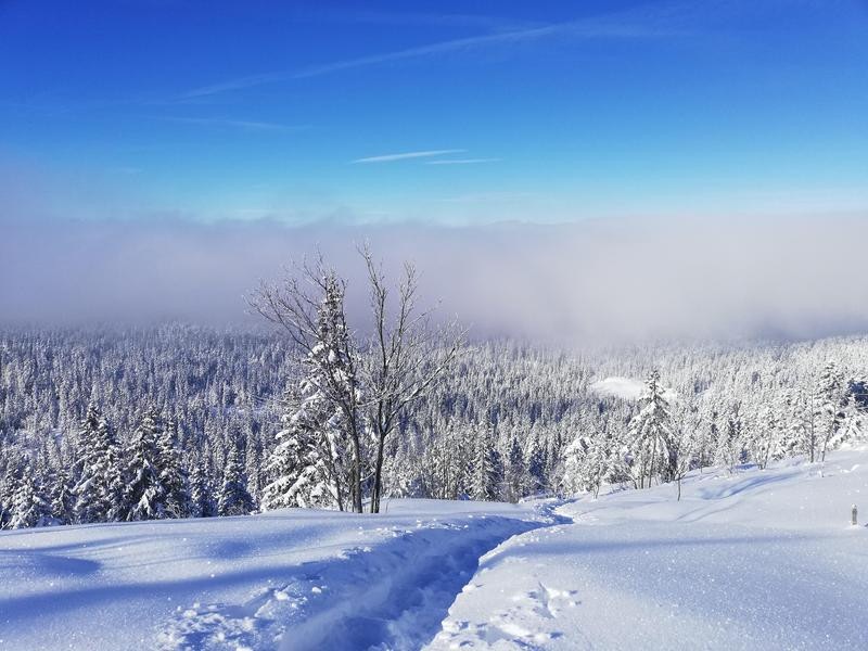 faire sa trace faire sa trace