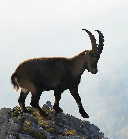 Au fil des lumières- David Boudin Au fil des lumières- David Boudin