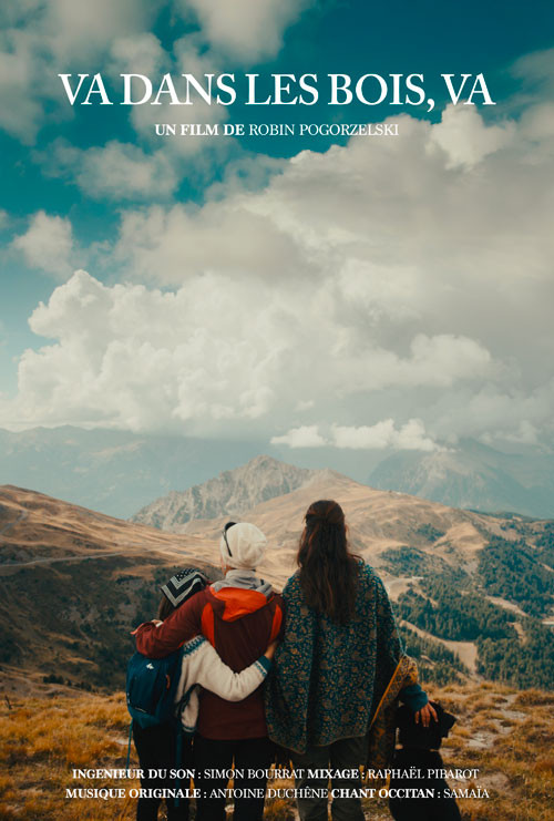 Affiche de Va dans les bois, va