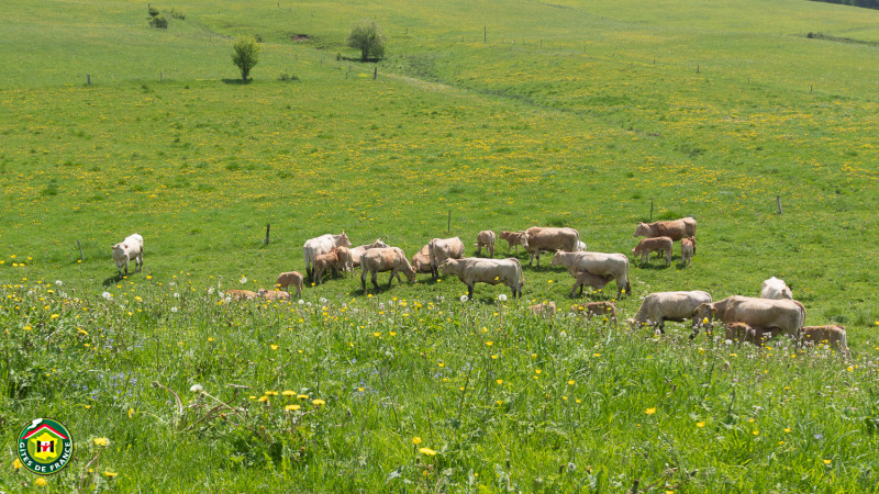 Vos voisines ;) - © Gîtes de France Vos voisines ;)