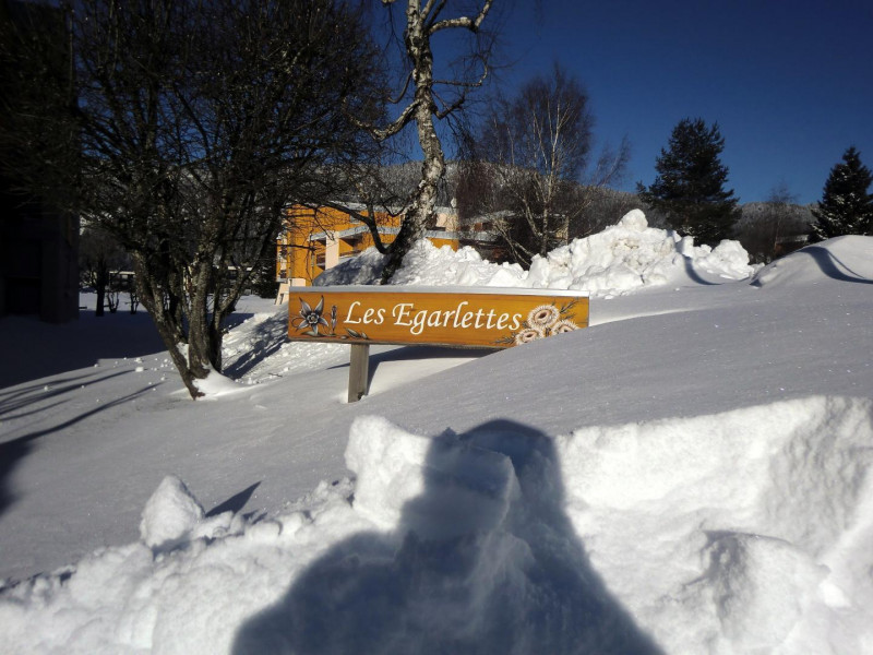 36849655.jpg.jpg 36849655.jpg.jpg