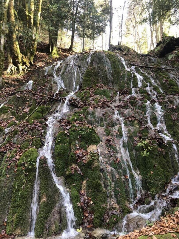 34512960.jpg.jpg 34512960.jpg.jpg