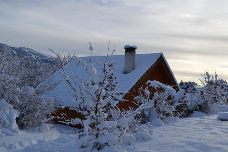 30252703.jpg.jpg 30252703.jpg.jpg