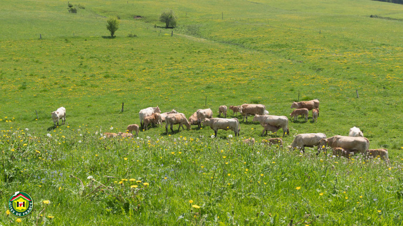 Vos voisines ;) - © Gîtes de France Vos voisines ;)