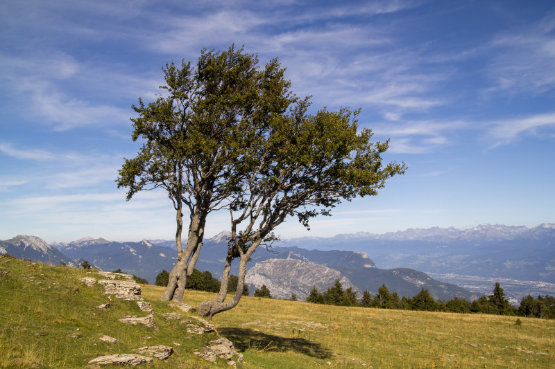 Le plateau de la Molière et la vallée de Grenoble