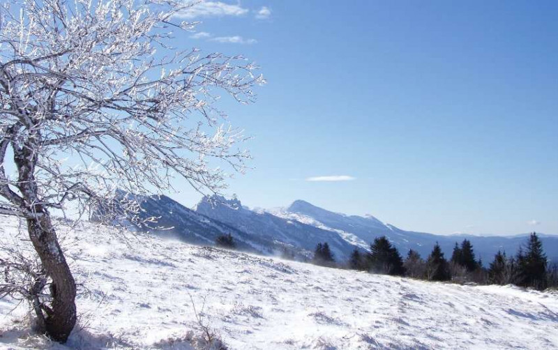 Paysages: le plateau des Ramées.