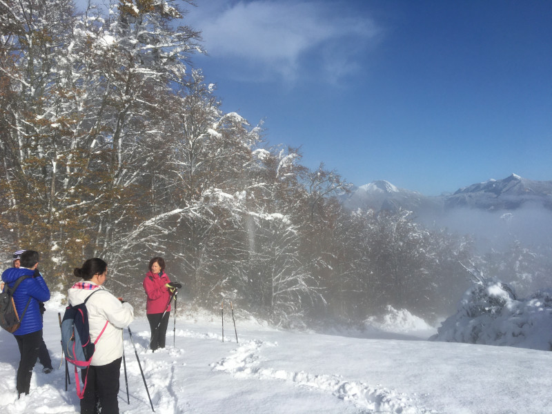 Marche nordique hivernale